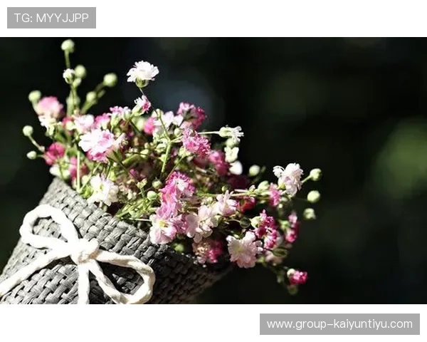 开运登录助力每日好运不断，开启幸福生活的全新体验