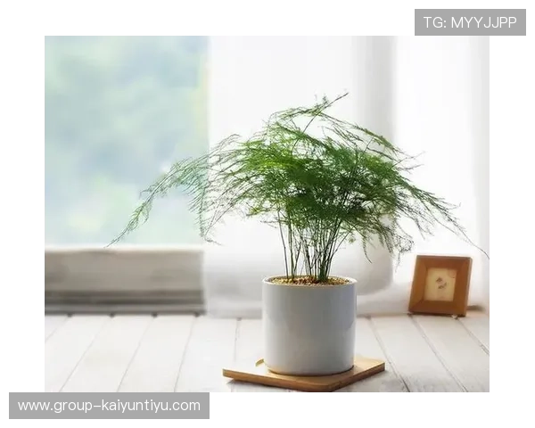 利用开运下载改善生活运势的实用方法,让好运常伴你左右 利用开运下载改善生活运势的实用方法,让好运常伴你左右
